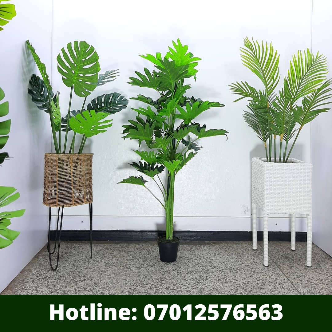 3 Ways to Clean And Maintain Artificial Plants Suppliers Of
