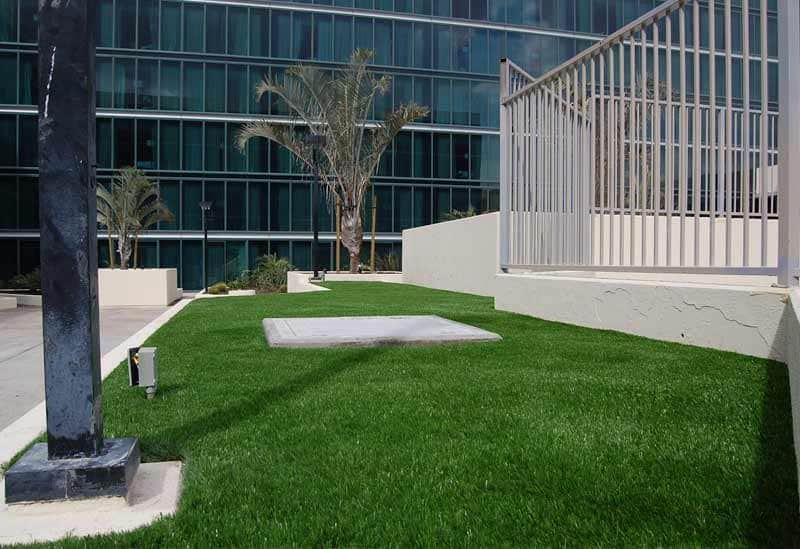 Artificial Grass