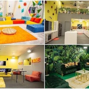 Read more about the article Official Supplier of Artificial plant, vases and interior accessories for the ongoing Big Brother House