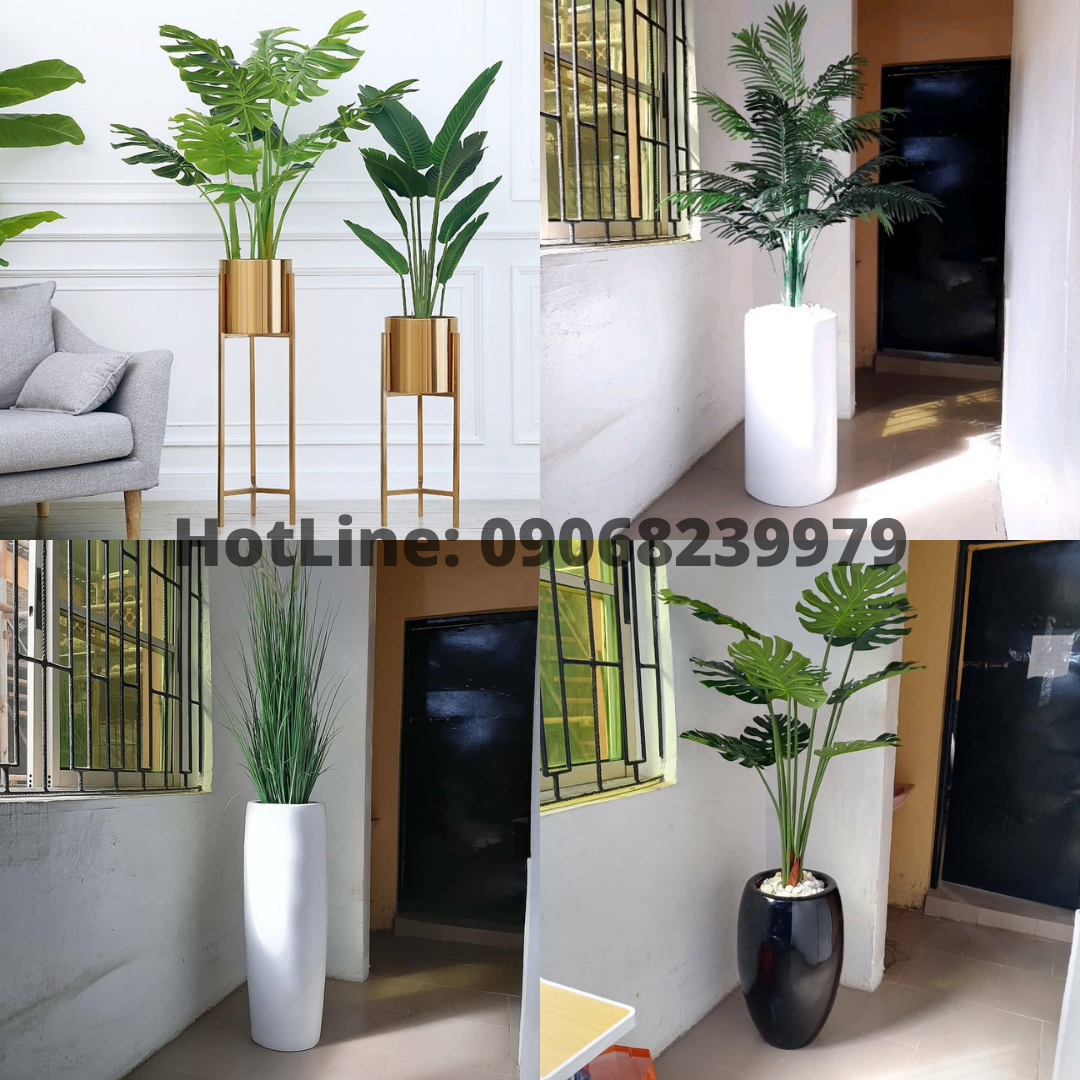 Read more about the article Having aesthetic Artificial Potted Plants in Your House For Decoration