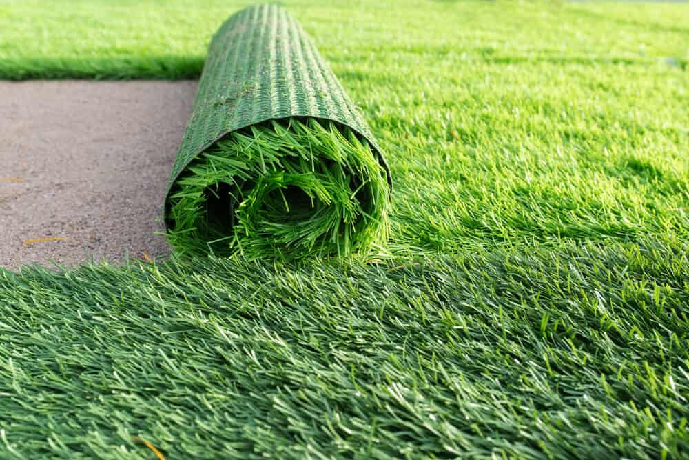 Read more about the article Interesting facts about artificial grass you probably don’t know