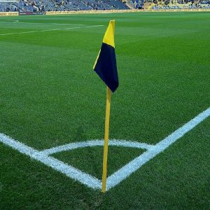 Read more about the article High Quality Artificial Grass for Soccer Fields