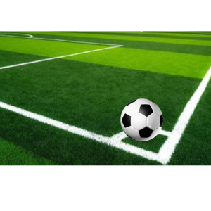 Read more about the article The Evolution Of Football Fields Grass