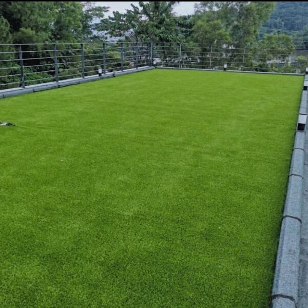 Artificial Grass