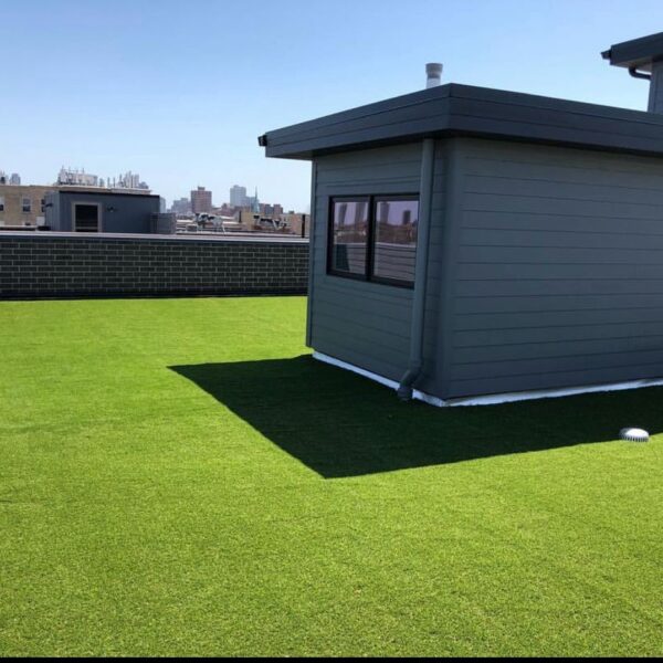 Artificial Grass